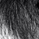 HVOB - LION (Stimming RMX) 1 lichterloh | HVOB - LION (Stimming RMX) lion stimming 300x169 1