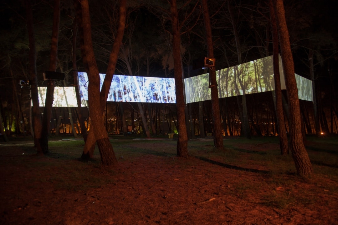 UNSEEN REALITY | lichterloh