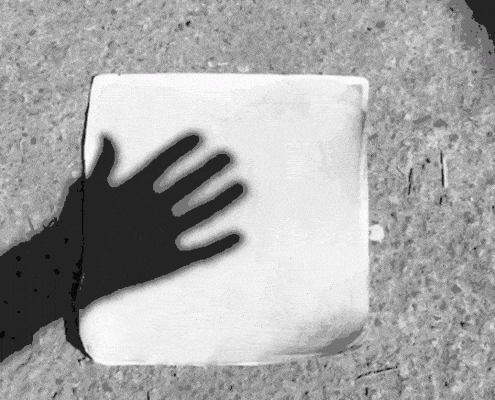 lichterloh | CHAMELEON chameleon