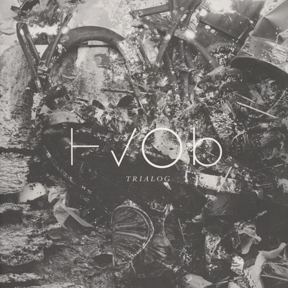 lichterloh | TRIALOG <br> <h6>interdisciplinary art project</h6> Trialog Album Cover Front